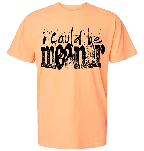 I Could Be Meaner Tee