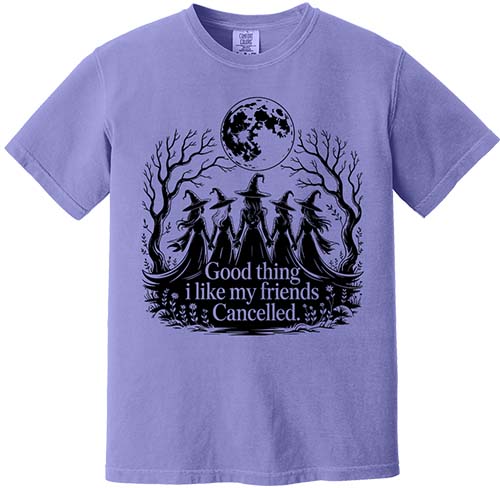 Good Thing I Like My Friends Cancelled Tee