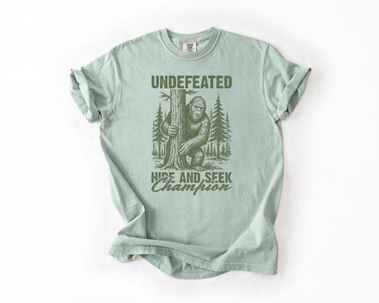Undefeated Hide and Seek Champion Tee