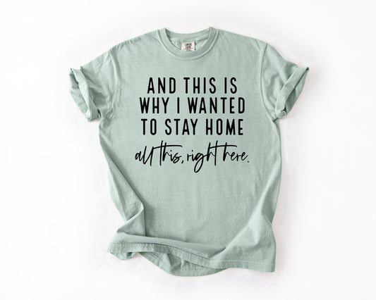 and this is why I wanted to stay home