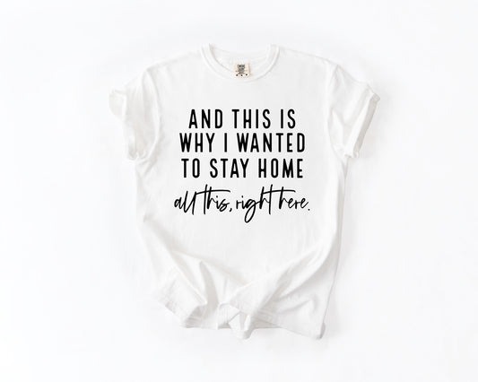 and this is why I wanted to stay home