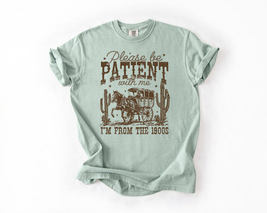 please be patient with me horse and buggy